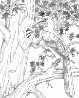 A coloring page of nature in africa